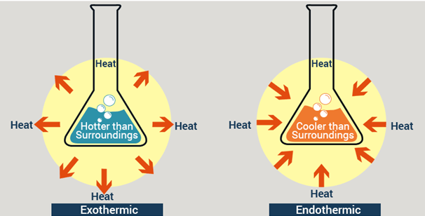 Endothermic-and-Exothermic-Reactions